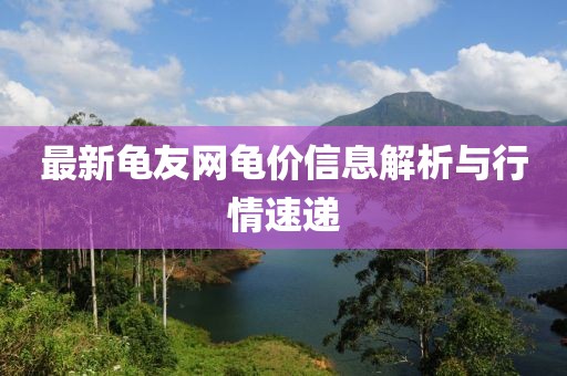 最新龜友網(wǎng)龜價信息解析與行情速遞