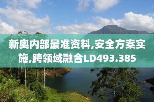 新奧內(nèi)部最準(zhǔn)資料,安全方案實(shí)施,跨領(lǐng)域融合LD493.385