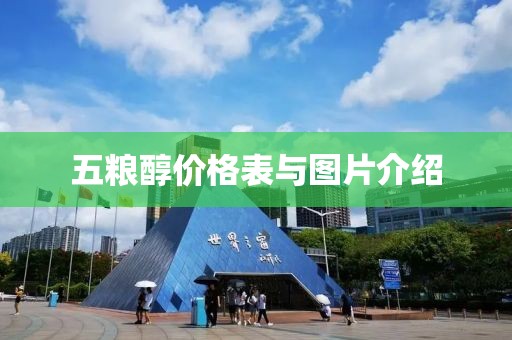 五糧醇價格表與圖片介紹