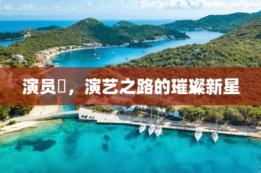 演員辻，演藝之路的璀璨新星