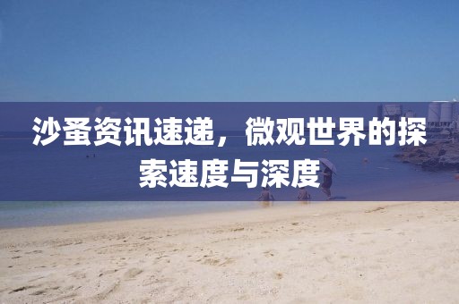 沙蚤資訊速遞，微觀世界的探索速度與深度