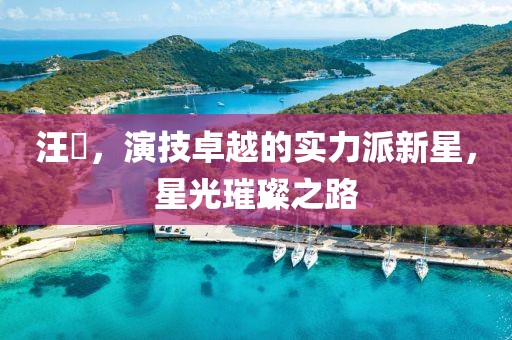 汪飏，演技卓越的實力派新星，星光璀璨之路