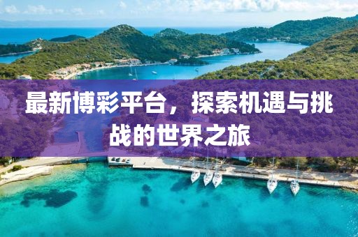 最新博彩平臺(tái)，探索機(jī)遇與挑戰(zhàn)的世界之旅