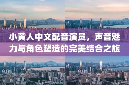 小黃人中文配音演員，聲音魅力與角色塑造的完美結(jié)合之旅