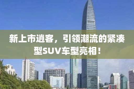 執(zhí)念 第13頁