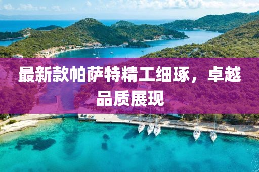 最新款帕薩特精工細琢，卓越品質(zhì)展現(xiàn)