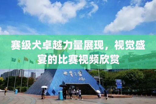 賽級(jí)犬卓越力量展現(xiàn)，視覺(jué)盛宴的比賽視頻欣賞