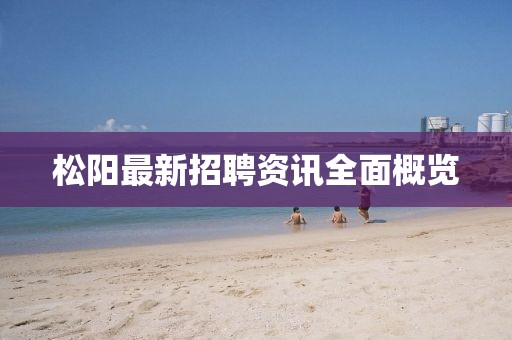 松陽(yáng)最新招聘資訊全面概覽
