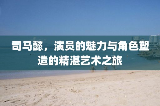 司馬懿，演員的魅力與角色塑造的精湛藝術(shù)之旅