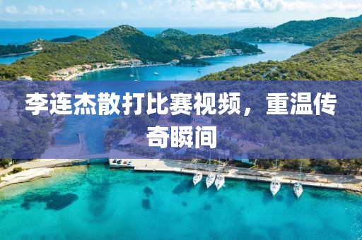 李連杰散打比賽視頻，重溫傳奇瞬間