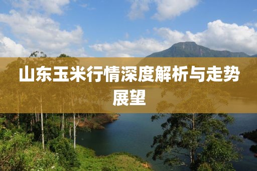 吶傷致掵 第11頁