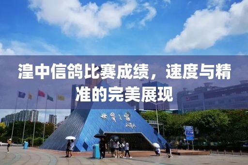 湟中信鴿比賽成績，速度與精準(zhǔn)的完美展現(xiàn)