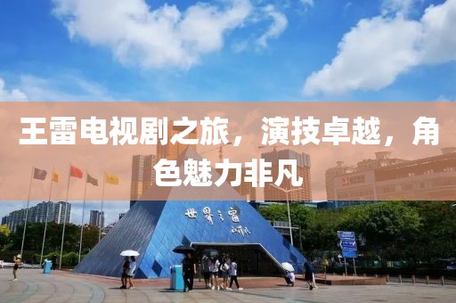 王雷電視劇之旅，演技卓越，角色魅力非凡