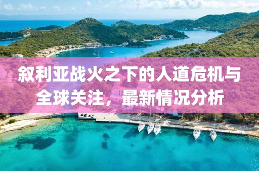 敘利亞戰(zhàn)火之下的人道危機與全球關(guān)注，最新情況分析