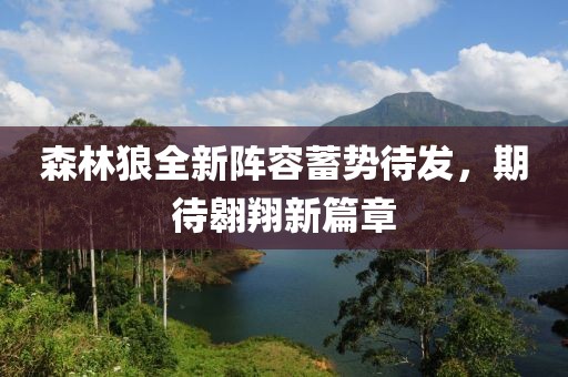 森林狼全新陣容蓄勢待發(fā)，期待翱翔新篇章