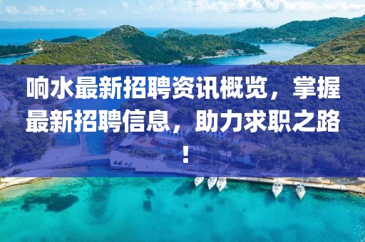 響水最新招聘資訊概覽，掌握最新招聘信息，助力求職之路！