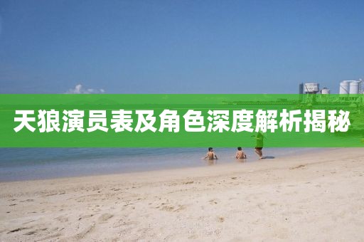 天狼演員表及角色深度解析揭秘