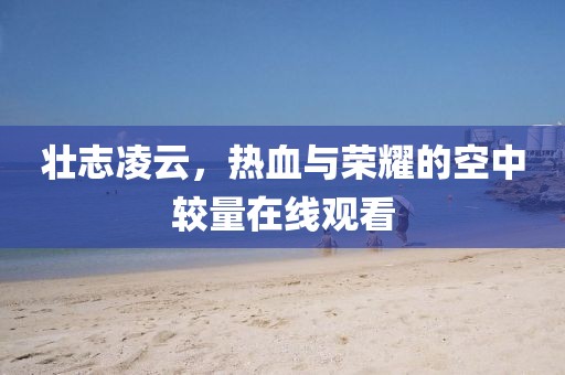 壯志凌云，熱血與榮耀的空中較量在線觀看