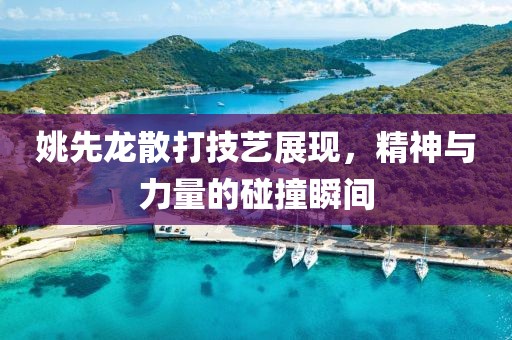 姚先龍散打技藝展現(xiàn)，精神與力量的碰撞瞬間