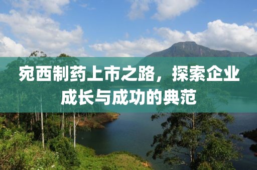 宛西制藥上市之路，探索企業(yè)成長(zhǎng)與成功的典范