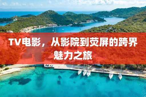 TV電影，從影院到熒屏的跨界魅力之旅