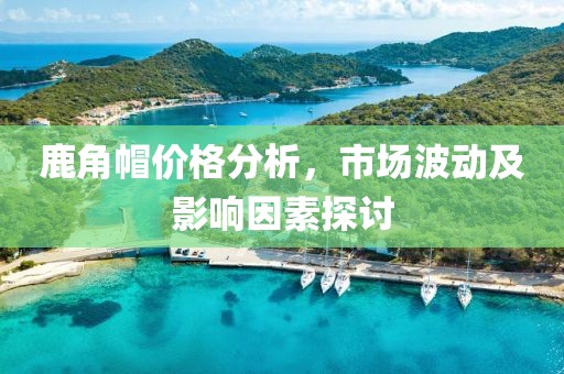 鹿角帽價格分析，市場波動及影響因素探討
