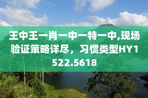 王中王一肖一中一特一中,現(xiàn)場(chǎng)驗(yàn)證策略詳盡，習(xí)慣類型HY1522.5618