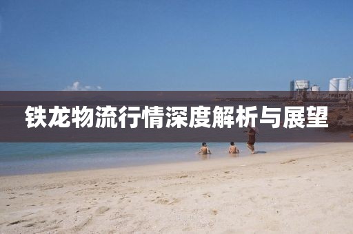 鐵龍物流行情深度解析與展望