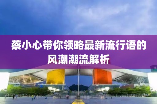 蔡小心帶你領(lǐng)略最新流行語的風(fēng)潮潮流解析