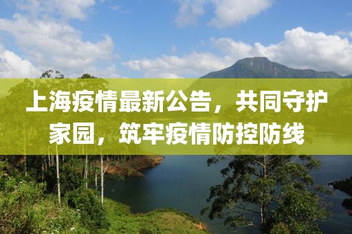上海疫情最新公告，共同守護(hù)家園，筑牢疫情防控防線