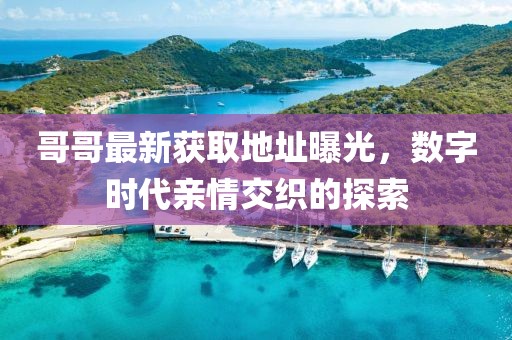 哥哥最新獲取地址曝光，數(shù)字時(shí)代親情交織的探索