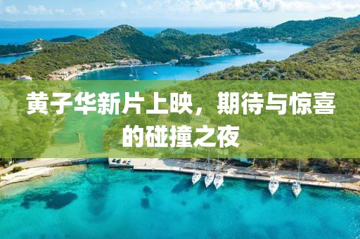 黃子華新片上映，期待與驚喜的碰撞之夜