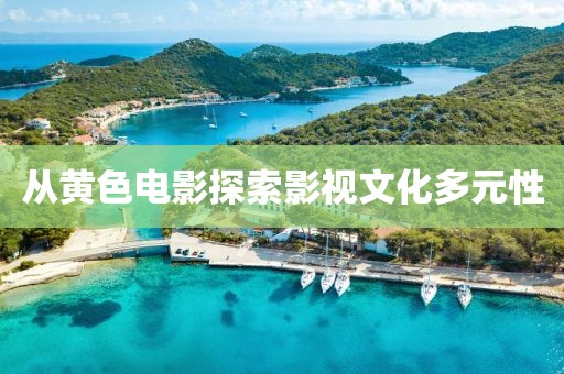 從黃色電影探索影視文化多元性