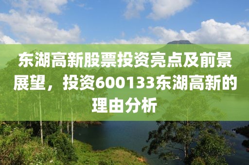 東湖高新股票投資亮點及前景展望，投資600133東湖高新的理由分析