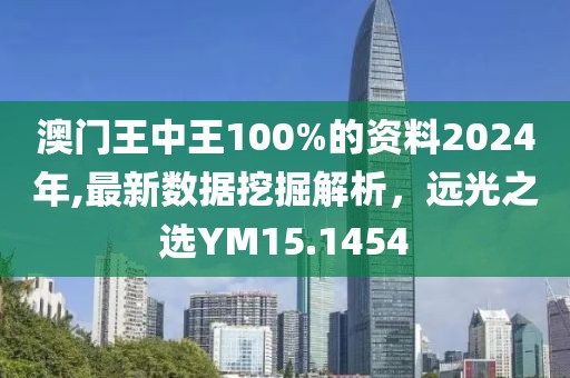 澳門王中王100%的資料2024年,最新數(shù)據(jù)挖掘解析，遠(yuǎn)光之選YM15.1454