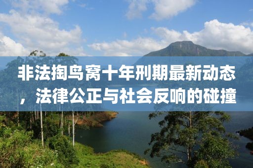 非法掏鳥窩十年刑期最新動態(tài)，法律公正與社會反響的碰撞