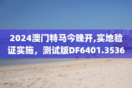 2024澳門特馬今晚開,實(shí)地驗(yàn)證實(shí)施，測試版DF6401.3536