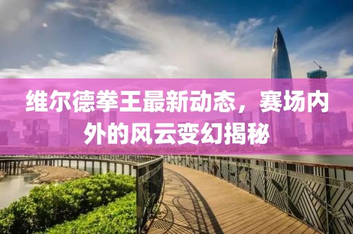 維爾德拳王最新動(dòng)態(tài)，賽場(chǎng)內(nèi)外的風(fēng)云變幻揭秘