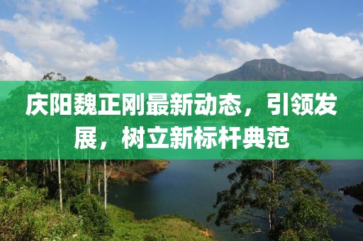 慶陽魏正剛最新動(dòng)態(tài)，引領(lǐng)發(fā)展，樹立新標(biāo)桿典范