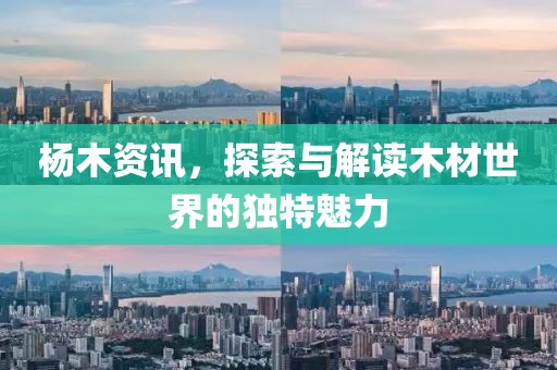 楊木資訊，探索與解讀木材世界的獨特魅力