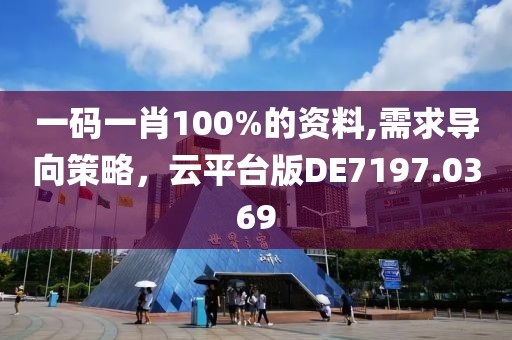 一碼一肖100%的資料,需求導(dǎo)向策略，云平臺版DE7197.0369