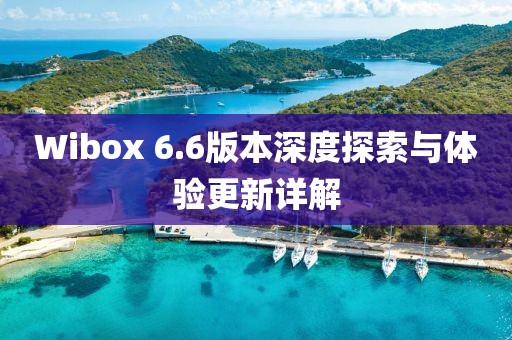 Wibox 6.6版本深度探索與體驗更新詳解