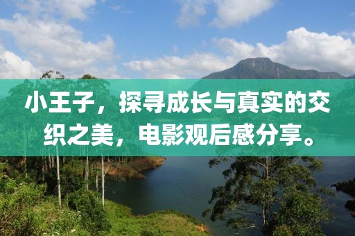 小王子，探尋成長與真實的交織之美，電影觀后感分享。