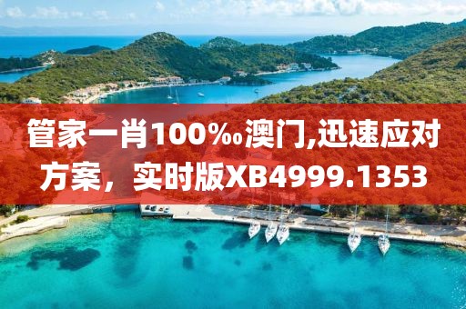 管家一肖100‰澳門,迅速應(yīng)對方案，實(shí)時版XB4999.1353