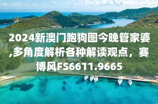 2024新澳門跑狗圖今晚管家婆,多角度解析各種解讀觀點，賽博風(fēng)FS6611.9665