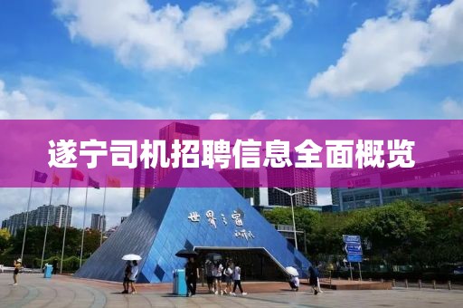 遂寧司機(jī)招聘信息全面概覽