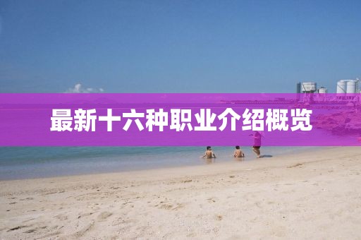 最新十六種職業(yè)介紹概覽