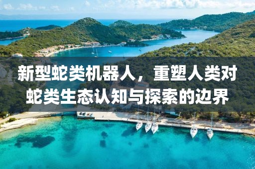 新型蛇類機(jī)器人，重塑人類對(duì)蛇類生態(tài)認(rèn)知與探索的邊界