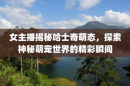 女主播揭秘哈士奇萌態(tài)，探索神秘萌寵世界的精彩瞬間