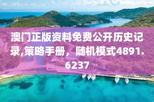 澳門正版資料免費公開歷史記錄,策略手冊，隨機模式4891.6237
